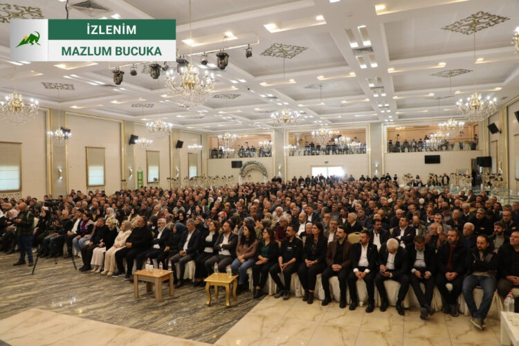 İzlenim: Bingöl’de Barış Buluşması Nasıl Geçti?