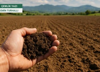 Bingöl’ün Geleceği Toprağında Saklı: İmar Kurbanı Olmasın