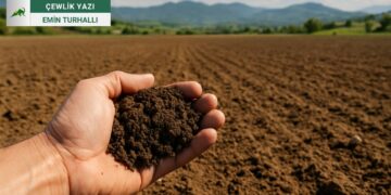 Bingöl’ün Geleceği Toprağında Saklı: İmar Kurbanı Olmasın