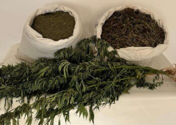 Bingöl Genç'te Uyuşturucu Operasyonu: 14 bin 350 Gram Skunk Ele Geçirildi