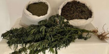 Bingöl Genç'te Uyuşturucu Operasyonu: 14 bin 350 Gram Skunk Ele Geçirildi