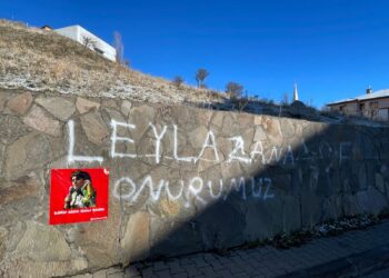 Bingöl’de Leyla Zana’ya Destek: "Leyla Zana Onurumuzdur"