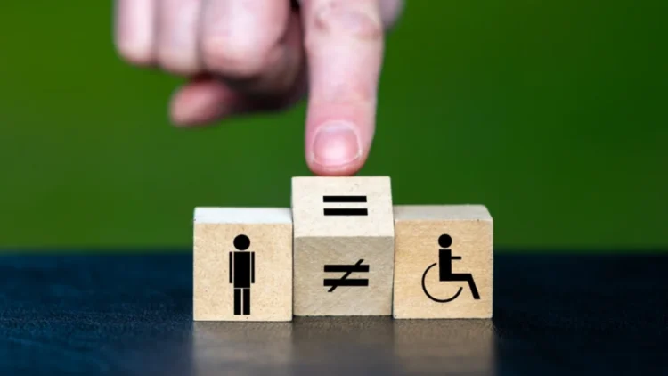 Bingöl Kadın Platformu'ndan Engelliler Günü Açıklaması