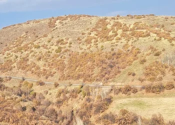 Bingöl'de Aynı Bölgeye İkinci Kez Bazalt Ocağı Girişimi: İnsan Sağlığı Zarar Görecek