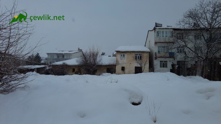 Bingöl’de ‘eski kışlar’ geri döndü: Kar yağışları su krizi için umut oldu