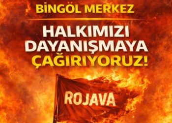 Bingöl'de Rojava için dayanışma çağrısı