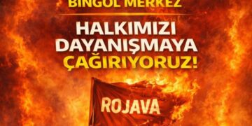 Bingöl'de Rojava için dayanışma çağrısı