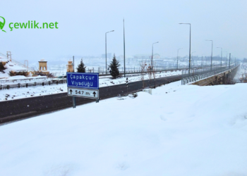 Bingöl bembeyaz bir pazara uyandı: Kar yağışı yerini sessizliğe bıraktı