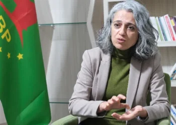 DBP Eş Genel Başkanı Uçar: 'Suriye’deki saldırılar 3. Dünya Savaşı'nın provası'