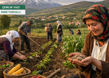 Kadim Tohumun İhanete Uğrayan Hikâyesi