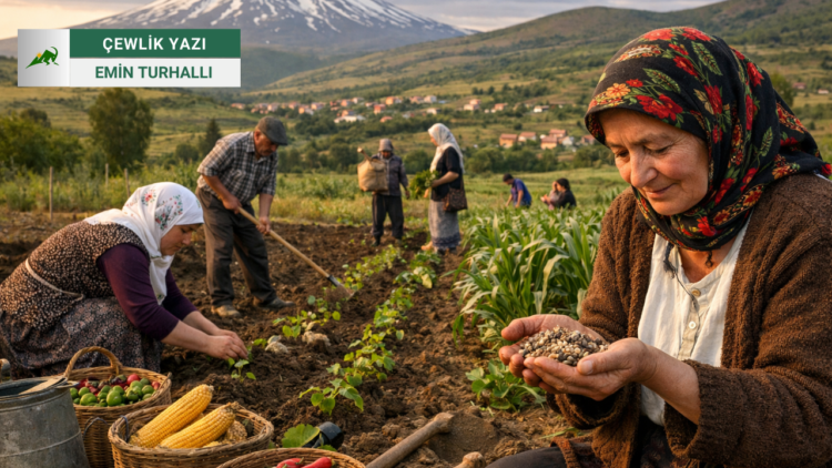 Kadim Tohumun İhanete Uğrayan Hikâyesi