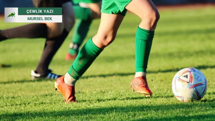 Vateyê Ewroyî: Hetgirî Nê, Kaykerdiş