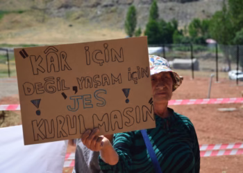 Peri Vadisi'nde direniş kazandı: Danıştay, doğa talanına 'dur' dedi