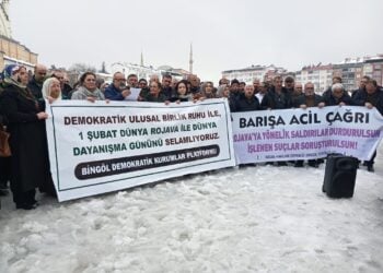 Dünya Rojava ile Dayanışma Günü: Bingöl’den yüzler barış için haykırdı