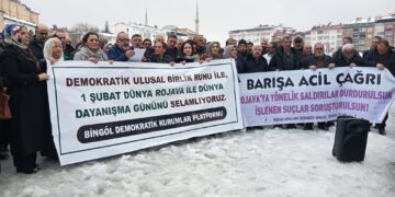 Dünya Rojava ile Dayanışma Günü: Bingöl’den yüzler barış için haykırdı