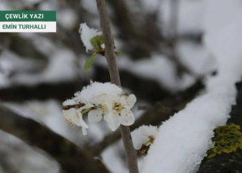 Kar yanıltmasın: Bir çiçekle bahar, bir karla denge gelmez