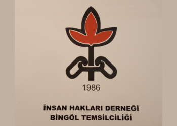 İHD Bingöl'den '6 Şubat' raporu: "Afet geçici, ihlaller kalıcı hale geldi"