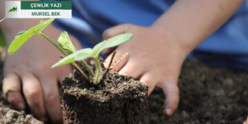 Vateyê Ewroyî: Xoza