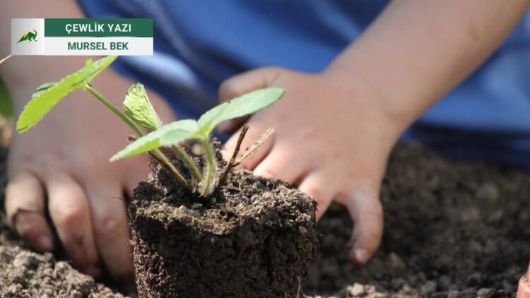 Vateyê Ewroyî: Xoza