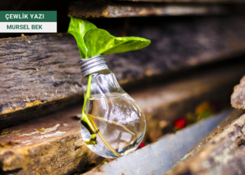 Vateyê Ewroyî: Bedilyayîş