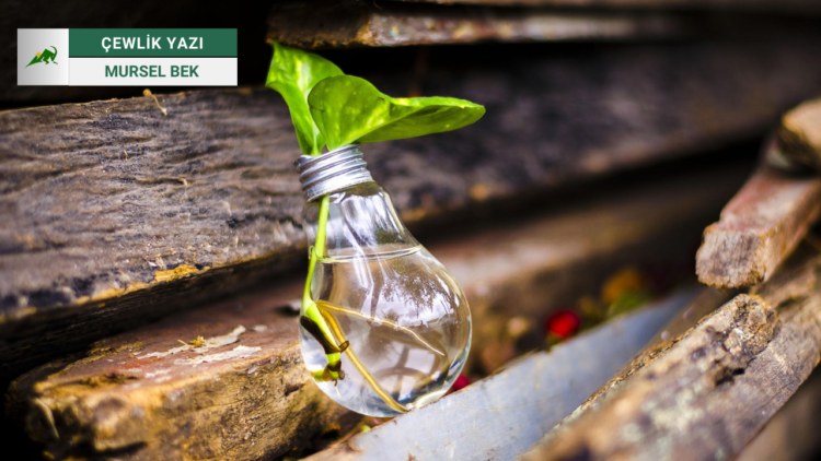 Vateyê Ewroyî: Bedilyayîş