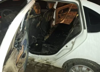 Bingöl'de kundaklama: Genç'te otomobili ateşe verip kaçtılar