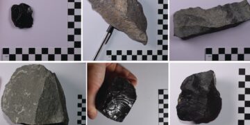 İnsanlık tarihinin 'ilk bıçağı' doğadan mı geldi? Taş aletlerin kökenine dair yeni bir iddia