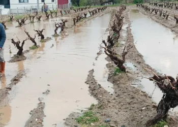 Elazığ’da tarım arazileri ve kent merkezi sular altında
