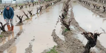 Elazığ’da tarım arazileri ve kent merkezi sular altında