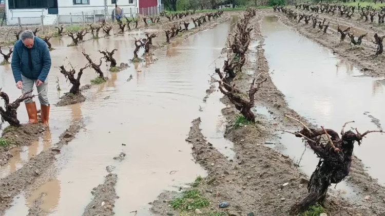 Elazığ’da tarım arazileri ve kent merkezi sular altında