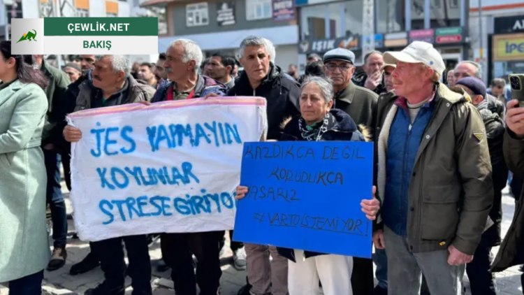 Jes nedir, ne değildir? Bingöl ve Varto halkı neden karşı çıkıyor?