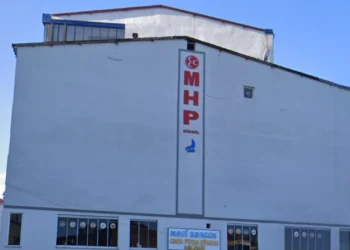 MHP Bingöl İl Teşkilatı feshedildi