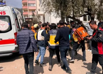 Türkiye Psikiyatri Derneği: 'Şiddet sadece bireysel değil, toplumsal bir yansımadır'