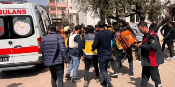 Türkiye Psikiyatri Derneği: 'Şiddet sadece bireysel değil, toplumsal bir yansımadır'