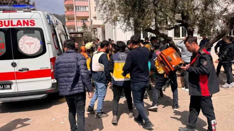 Türkiye Psikiyatri Derneği: 'Şiddet sadece bireysel değil, toplumsal bir yansımadır'