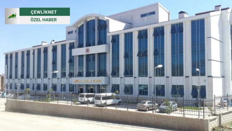 Bingöl Belediyesi'nde ‘plaka yolsuzluğu’ soruşturmasında 11 gözaltı 