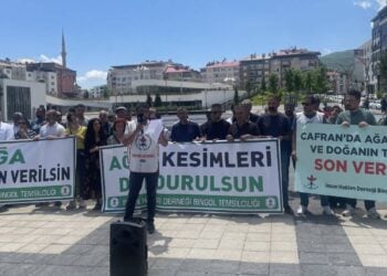 Bingöl’de Cafran Ormanları için açıklama: "Taleplerimiz karşılanmazsa nöbete başlayacağız"