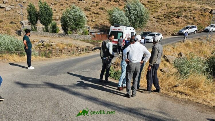 Karlıova’da 50 Yıllık Kale Köprüsü Kazalara Davetiye Çıkarıyor