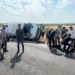 Lice girişinde feci kaza: Bingöl istikametine giden minibüs devrildi, 5 ölü, 11 yaralı