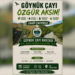 Göynük Çayı Havzası Kıyıma Karşı Ayakta: Gola Azîzan’da Ekoloji Şenliği