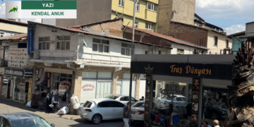 Kent ve Miras: Betonlaşma, Şehir Planlama ve Yaşanabilir Kentler Üzerine Bir Değerlendirme