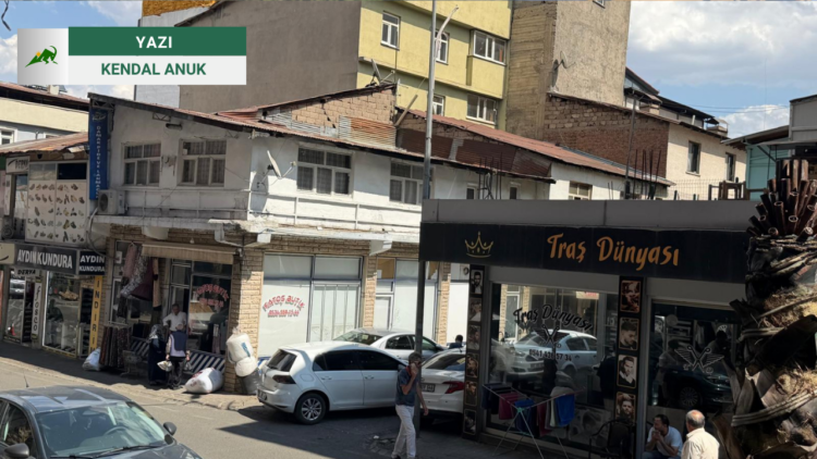 Kent ve Miras: Betonlaşma, Şehir Planlama ve Yaşanabilir Kentler Üzerine Bir Değerlendirme