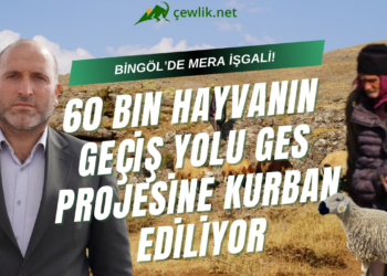 VİDEO HABER: Bingöl Solhan’da meralara GES tehdidi