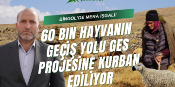 VİDEO HABER: Bingöl Solhan’da meralara GES tehdidi