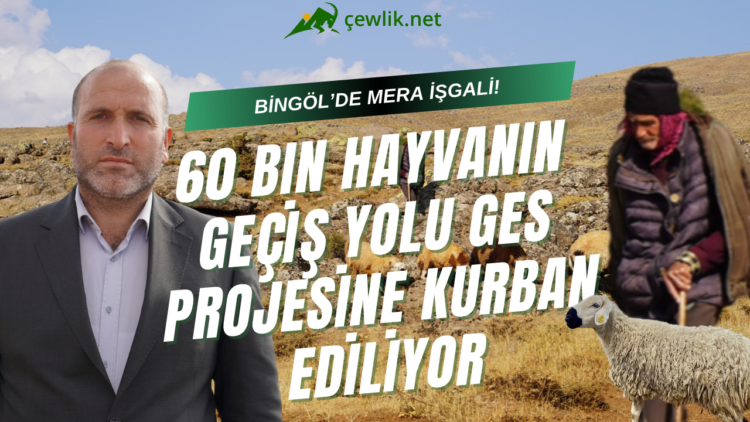 VİDEO HABER: Bingöl Solhan’da meralara GES tehdidi