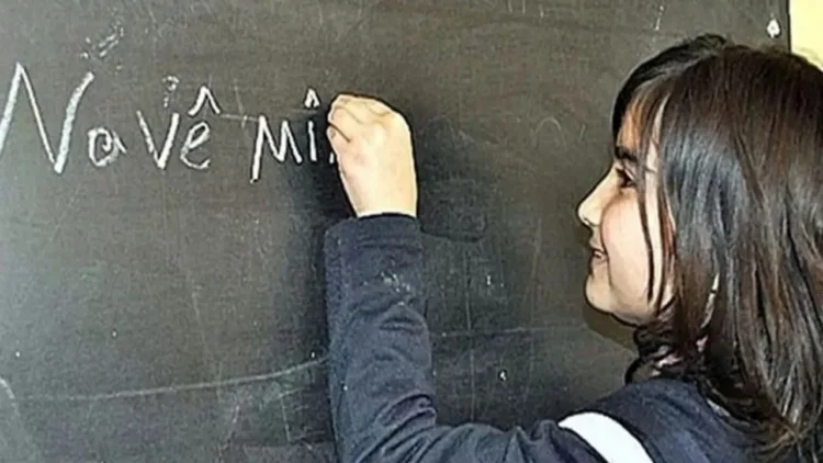 Kök ve Kimlik